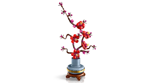 Plum Blossom — 6