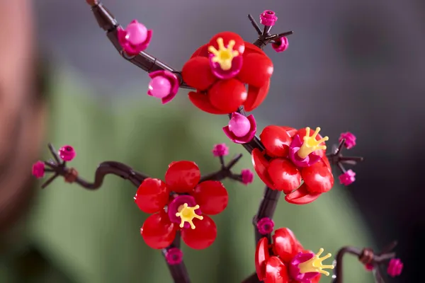 Plum Blossom — 9