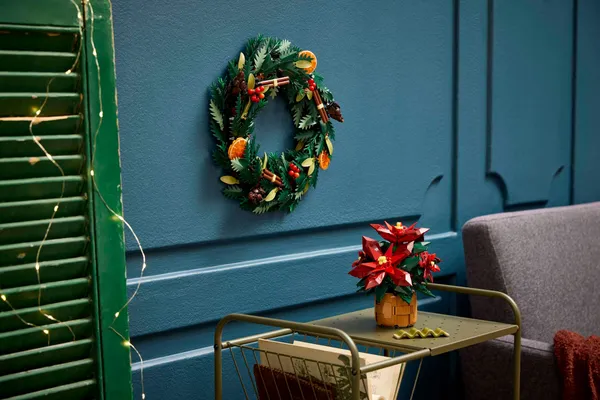 Poinsettia — 4