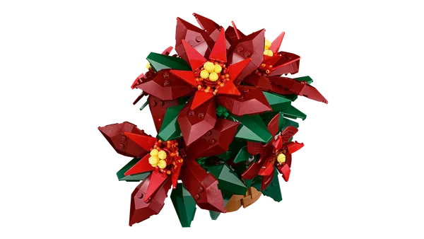 Poinsettia — 6