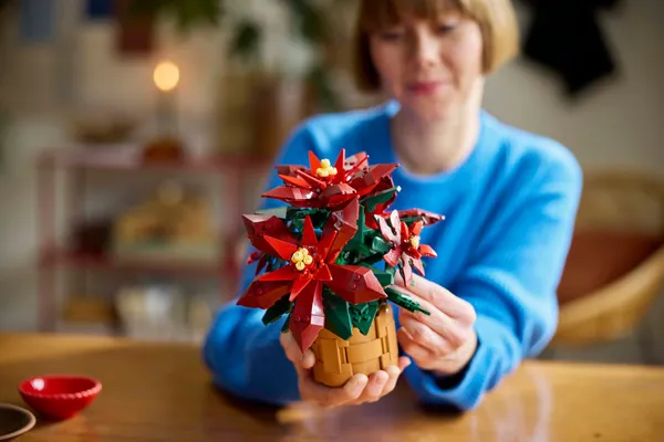Poinsettia — 8