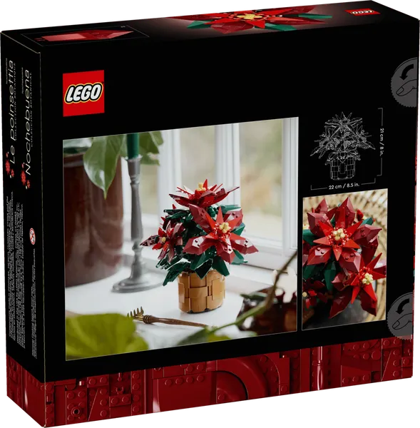 Poinsettia — 9
