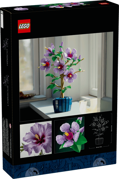 Hibiscus — 12