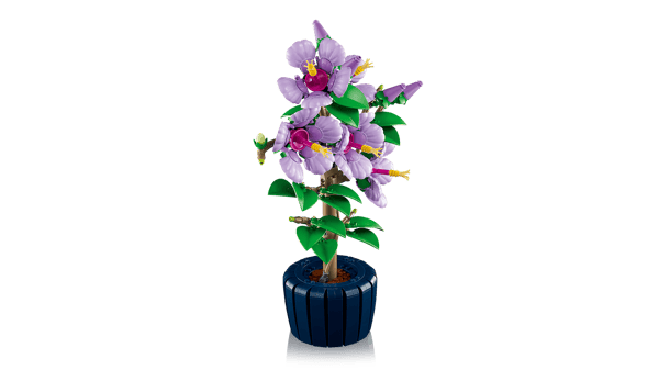 Hibiscus — 7