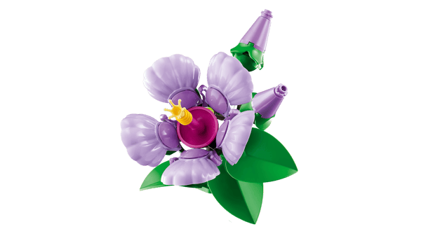 Hibiscus — 8