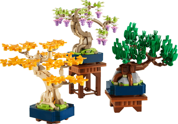 Mini Bonsai Trees — 2