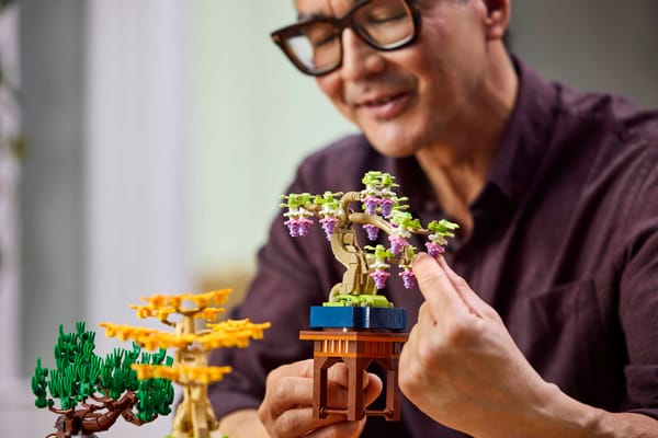 Mini Bonsai Trees — 11