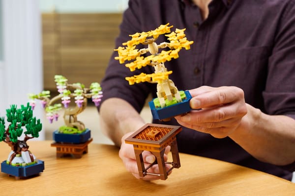 Mini Bonsai Trees — 12