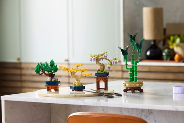 Mini Bonsai Trees — 13