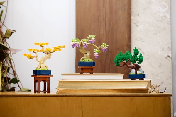Mini Bonsai Trees — 3
