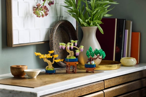 Mini Bonsai Trees — 4