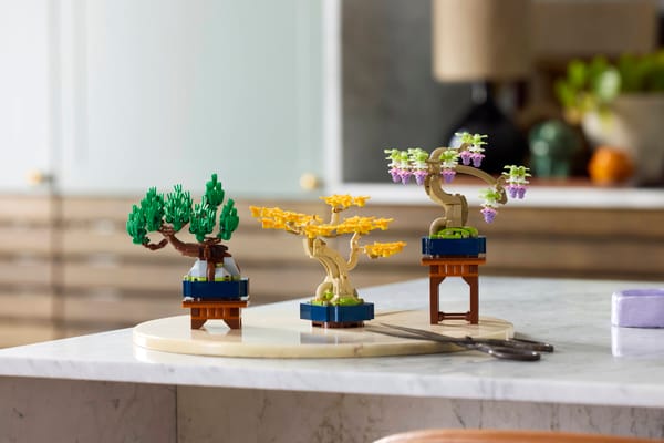 Mini Bonsai Trees — 5