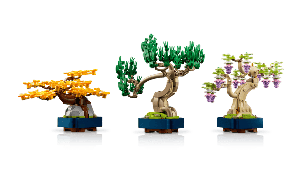 Mini Bonsai Trees — 6