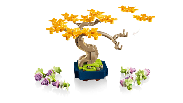 Mini Bonsai Trees — 7