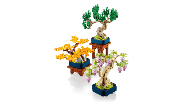 Mini Bonsai Trees — 8
