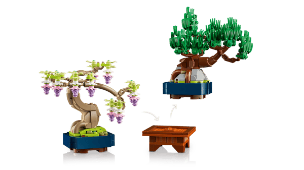 Mini Bonsai Trees — 9