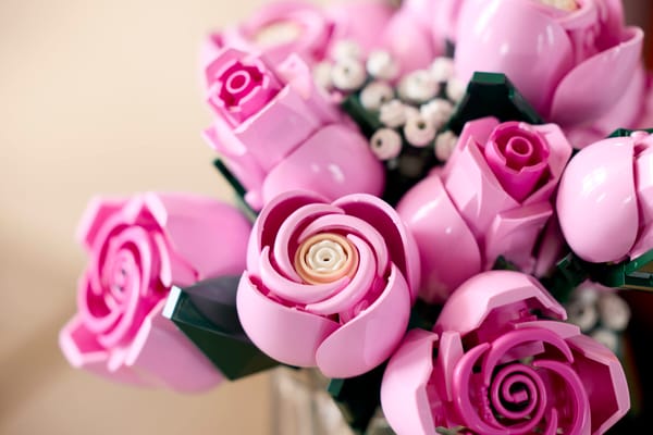 Bouquet of Pink Roses — 13