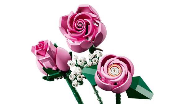 Bouquet of Pink Roses — 8