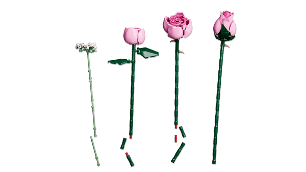 Bouquet of Pink Roses — 9