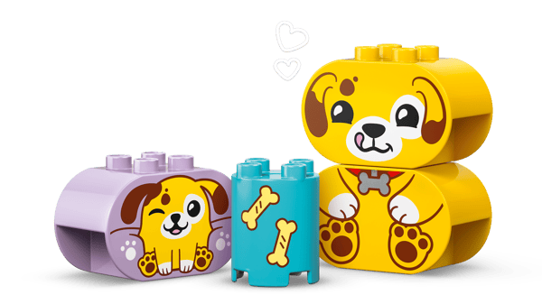 Shape Sorter: Puppy House — 5