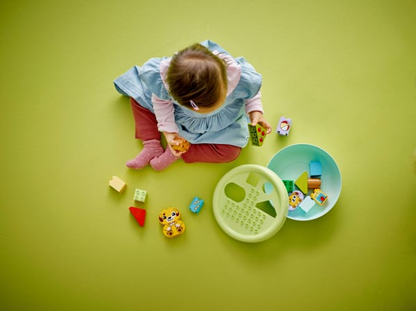 Shape Sorter: Puppy House — 7
