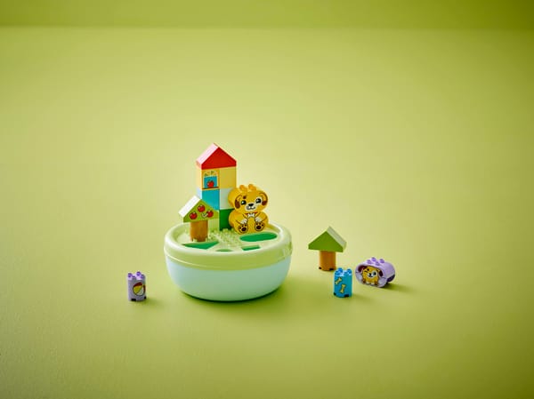 Shape Sorter: Puppy House — 8