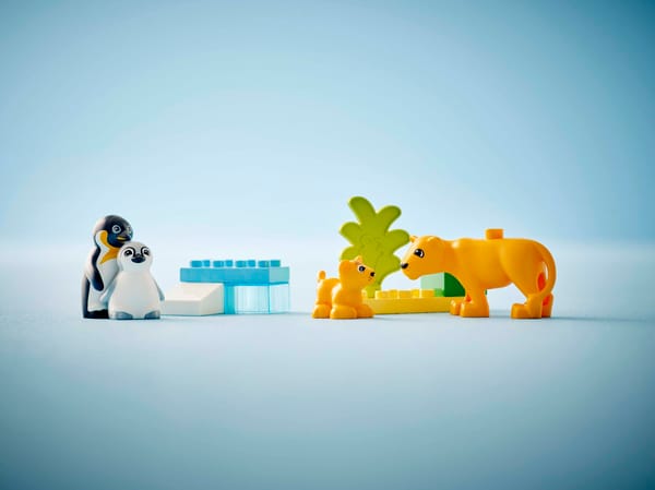 Wild Animal Families: Penguins & Lions — 8