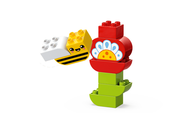 Creative Garden & Flowers — 3