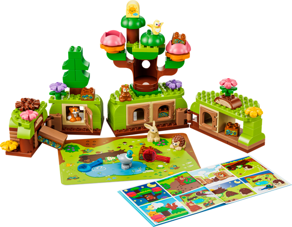 Discovery Forest with Wild Animals — 2