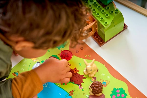 Discovery Forest with Wild Animals — 12