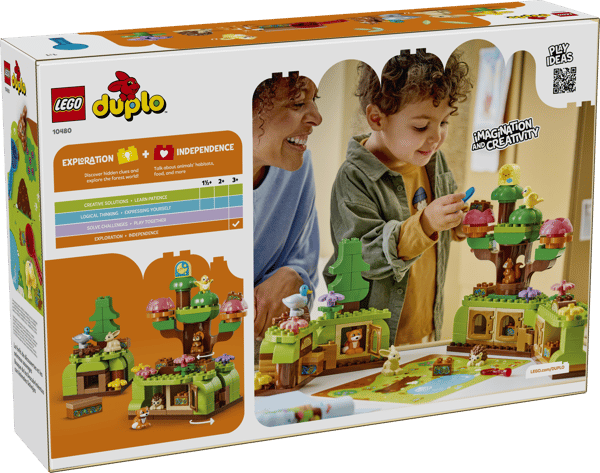 Discovery Forest with Wild Animals — 14