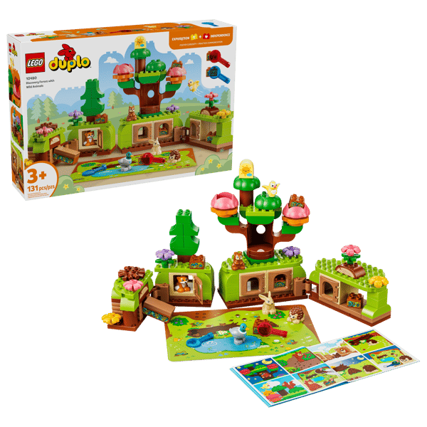 Discovery Forest with Wild Animals — 1