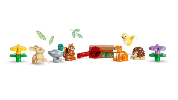 Discovery Forest with Wild Animals — 3