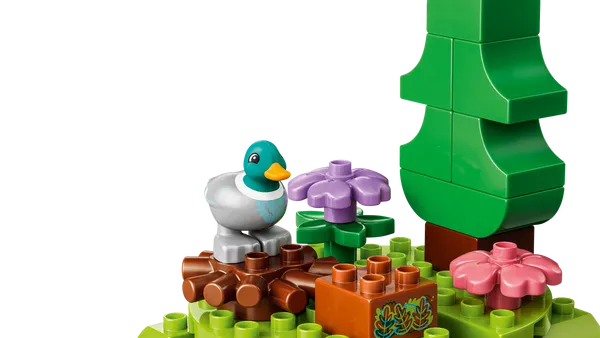 Discovery Forest with Wild Animals — 5