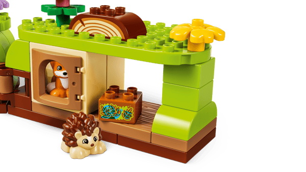 Discovery Forest with Wild Animals — 6