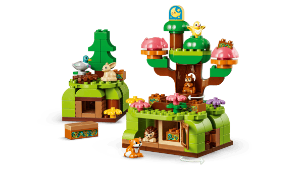 Discovery Forest with Wild Animals — 9