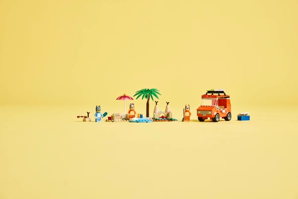 Bluey’s Beach & Family Car Trip — 10