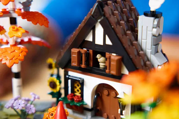 Autumn Cottage Garden — 13