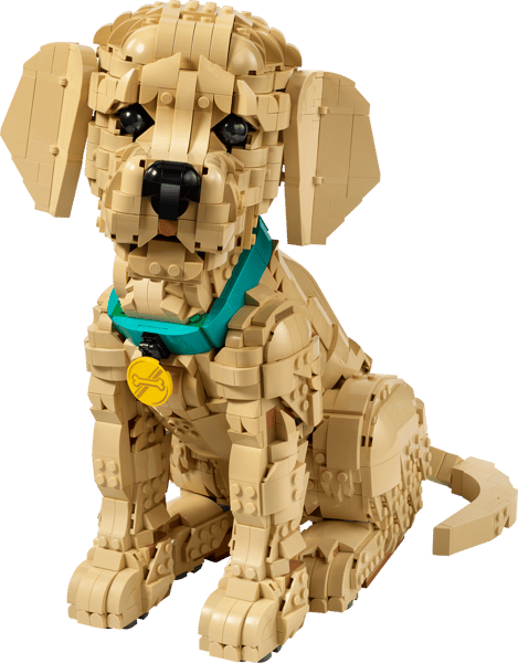 Golden Retriever Puppy — 2