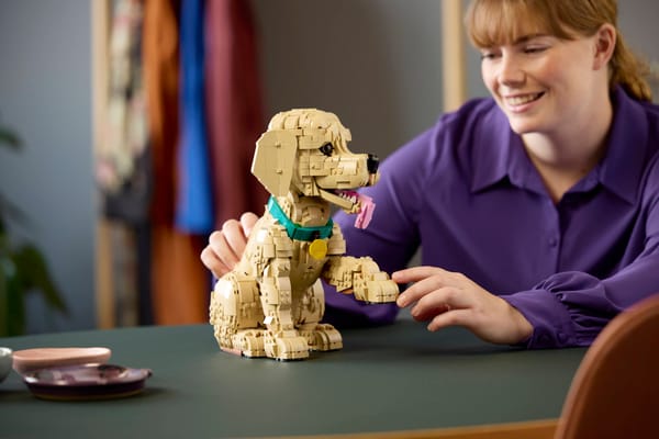 Golden Retriever Puppy — 10