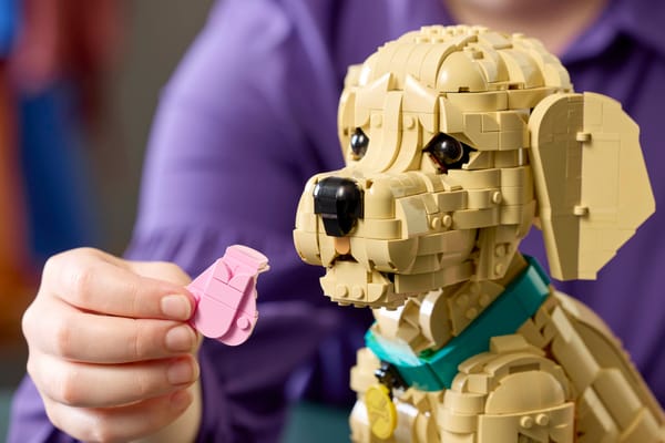 Golden Retriever Puppy — 12