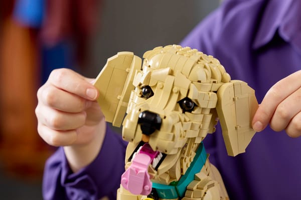 Golden Retriever Puppy — 14