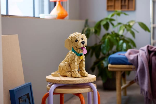 Golden Retriever Puppy — 16