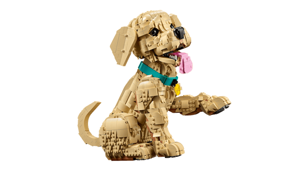 Golden Retriever Puppy — 3