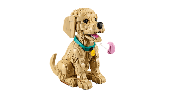 Golden Retriever Puppy — 5