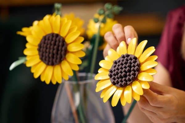 Sunflower Bouquet — 12
