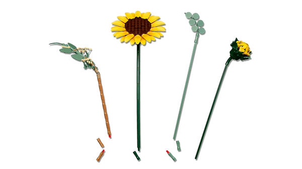 Sunflower Bouquet — 6