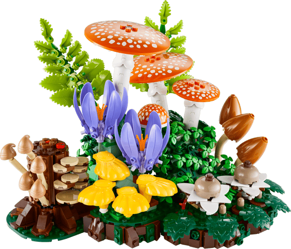 Woodland Mushrooms — 2