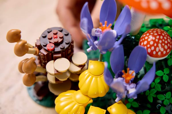 Woodland Mushrooms — 10
