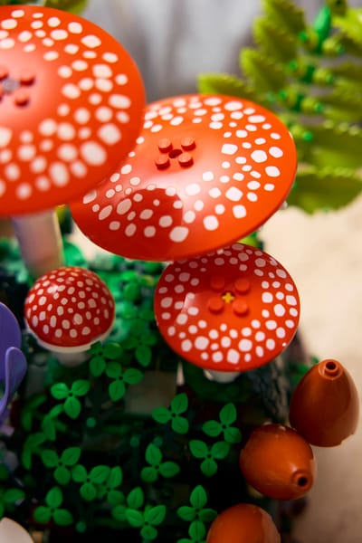 Woodland Mushrooms — 11